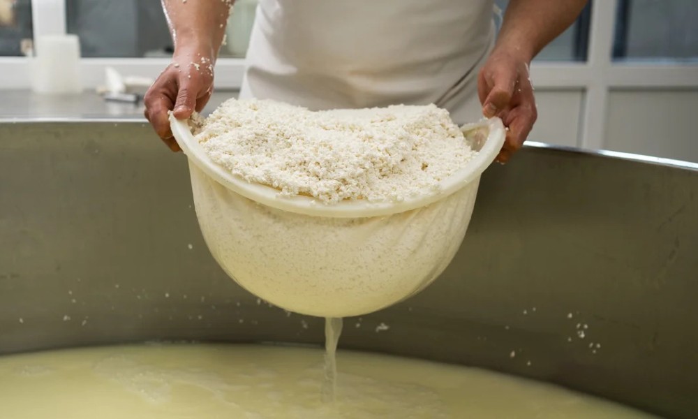 مایع آب پنیر برای تولید پودر آب پنیر