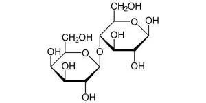 ساختار لاکتوز