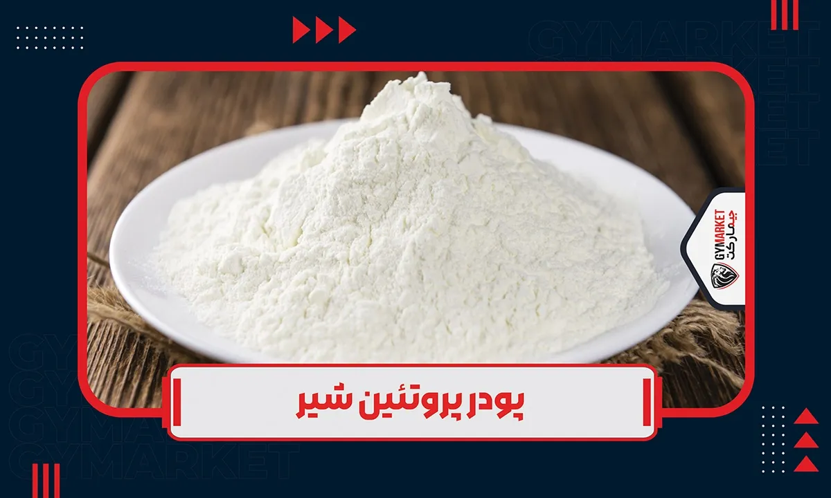 پروتئین شیر چیست