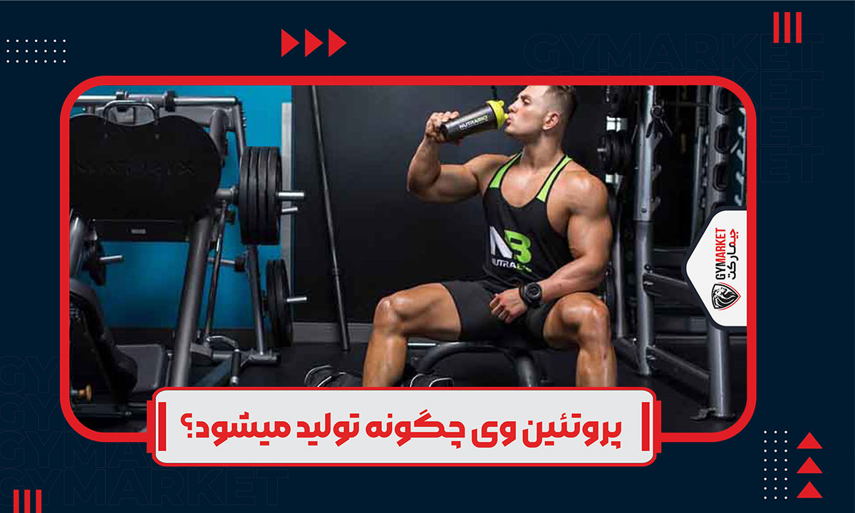 بهترین پروتئین برای عضله سازی