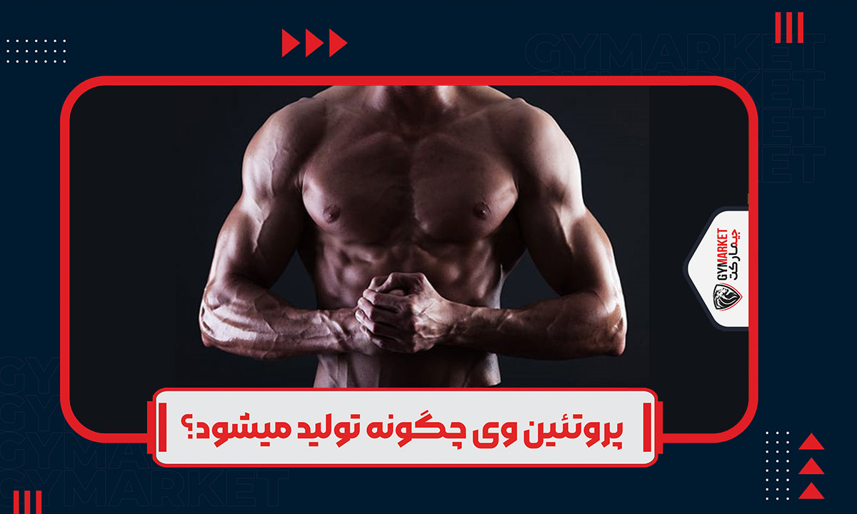 بهترین پروتئین برای چربی سوزی و عضله سازی