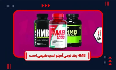 مکمل HMB