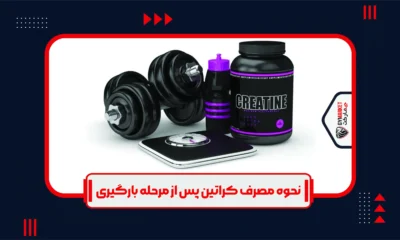 مرحله بارگیری در کراتین باعث افزایش حجم عضلات در ورزشکار در مدت کوتاهی می‌شود.